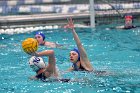 WWPolo vs CC  Wheaton College Women’s Water Polo vs Connecticut College. - Photo By: KEITH NORDSTROM : Wheaton, water polo